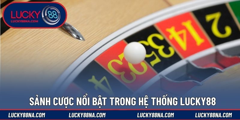 Chất lượng hình ảnh, âm thanh sống động